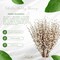 24-Pack White Holly Berry Stems with 35 Lifelike Berries | 17-Inch | Festive Holiday Decor | Trees, Wreaths, & Garlands | Christmas Picks | Home & Office Decor, Floral Home by Artificial Flowers